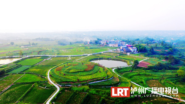 走進瀘州市龍馬潭區雙加鎮中夥鋪村和顏坪村,草綠水清,綠色生態畫卷