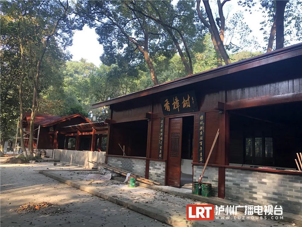 与花草相伴的诗和远方泸州忠山公园新增一座高颜值书屋