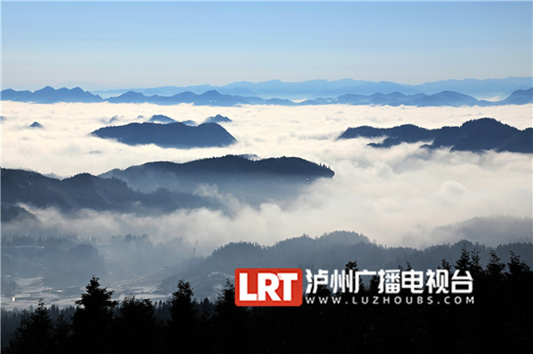 瀘州敘永羅漢林雪後雲海景觀美景如畫_要聞_大聽網_瀘州市廣播電視臺