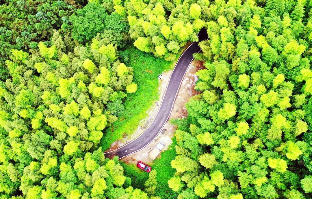 羊肠小道大峡谷图片